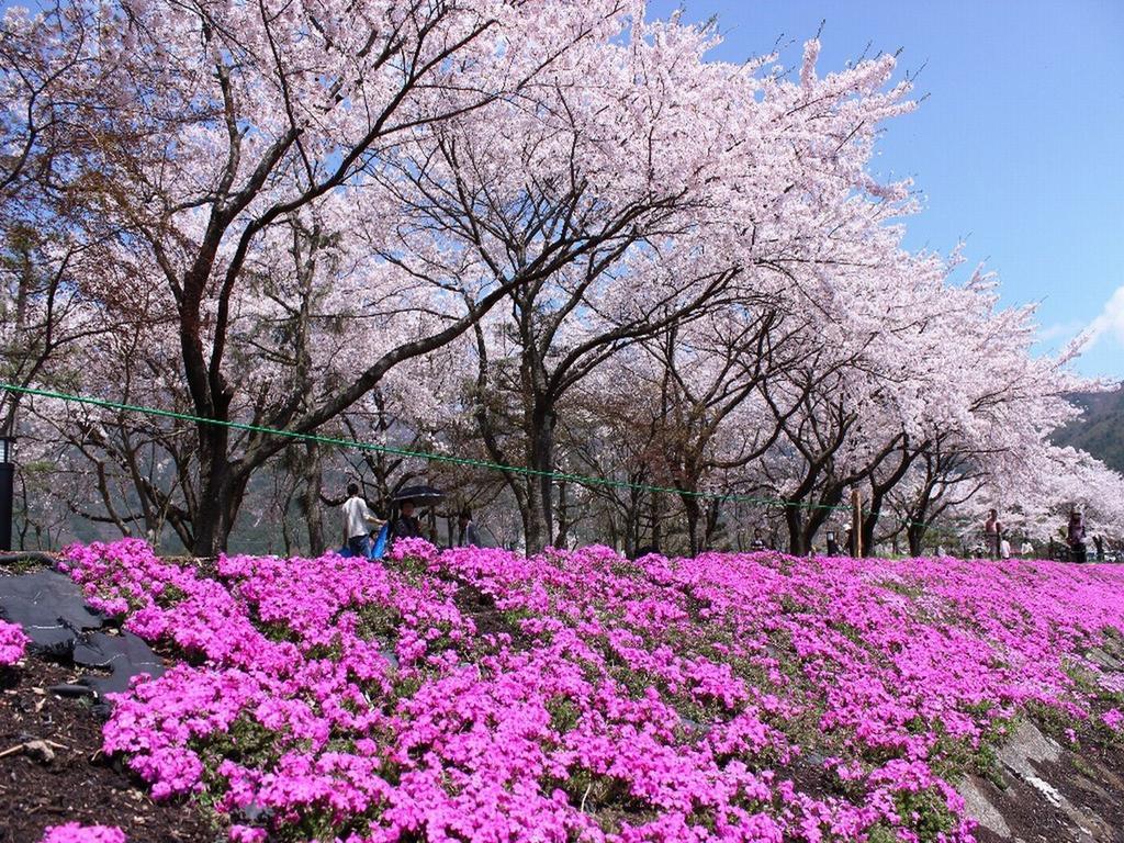 Fujikawaguchiko Crescendo Exterior foto